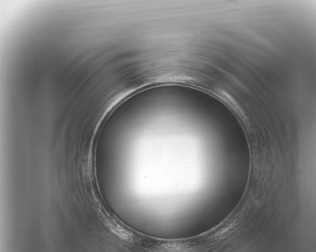 X0000059061044200510212021