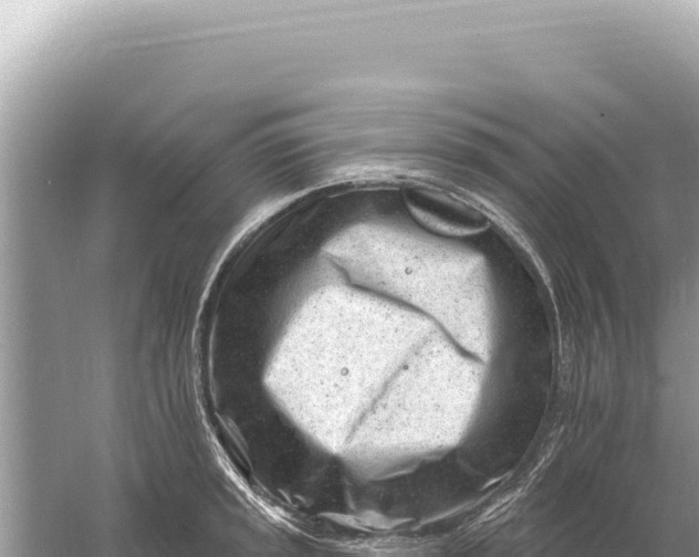 X0000059061045200510212021