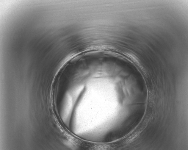 X0000059061046200510212021