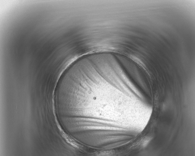 X0000059061047200510212021