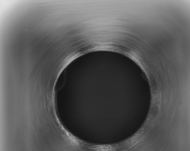 X0000059061050200510212021