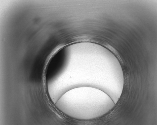 X0000059061051200510212021