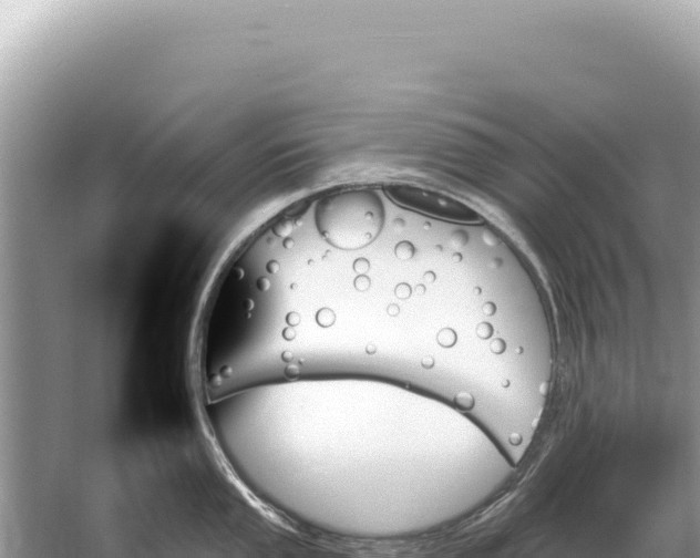 X0000059061053200510212021