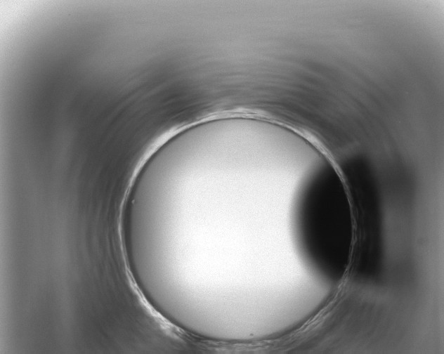 X0000059061054200510212021