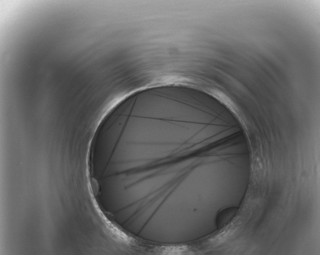 X0000059061055200510212021