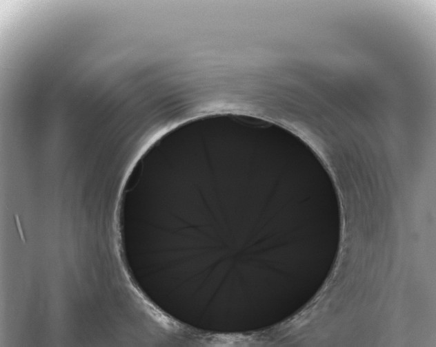 X0000059061056200510212021