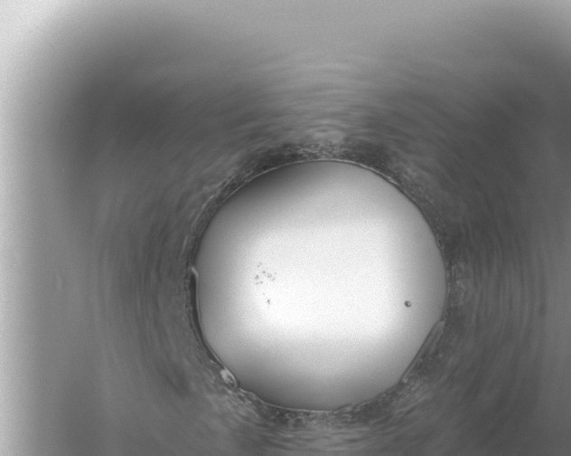 X0000059061057200510212020