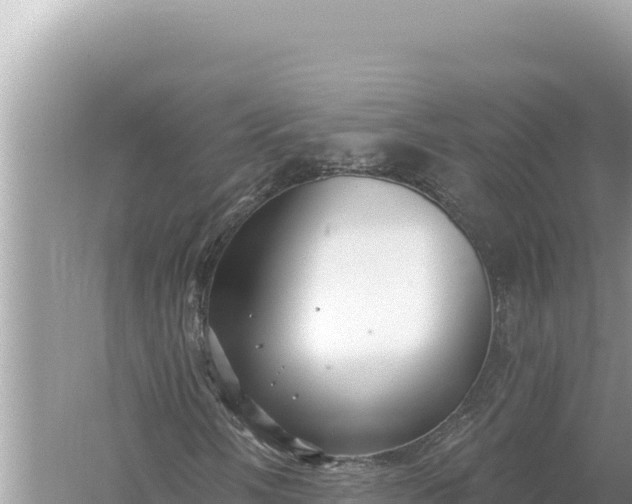 X0000059061058200510212020