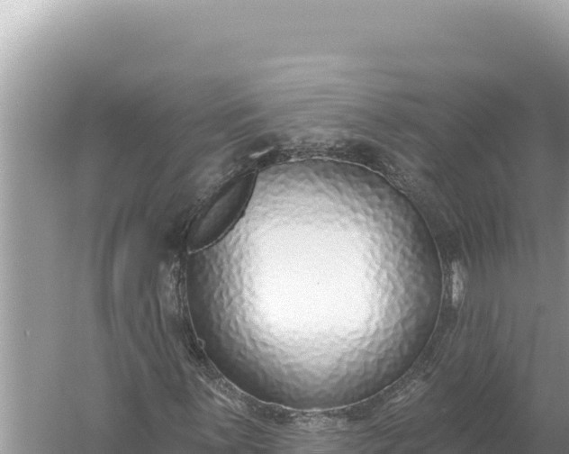 X0000059061059200510212020