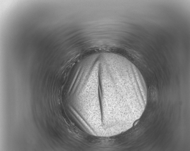 X0000059061060200510212020