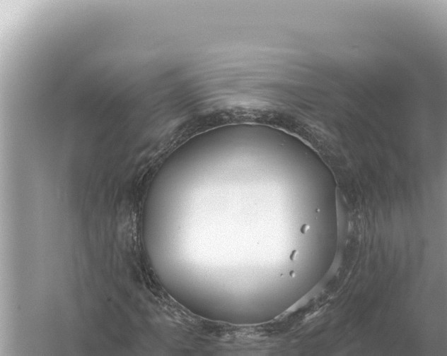 X0000059061061200510212020