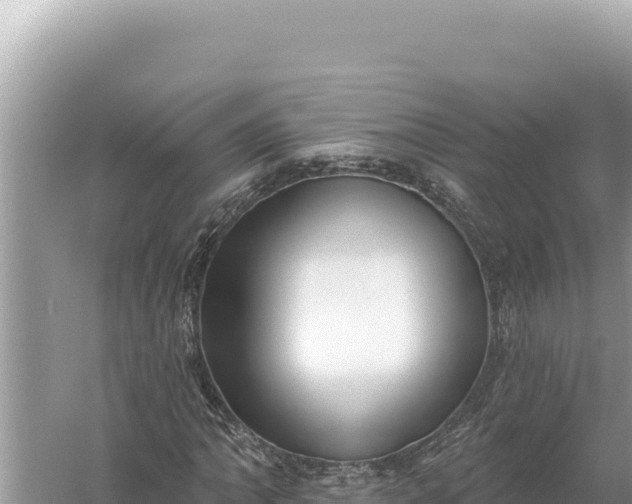 X0000059061062200510212020