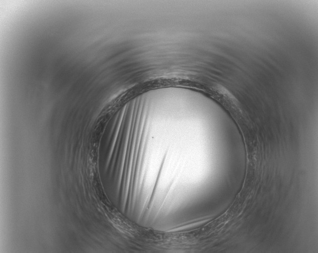 X0000059061064200510212020