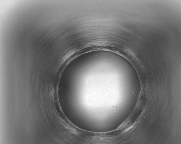 X0000059061065200510212020