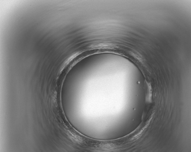 X0000059061066200510212020