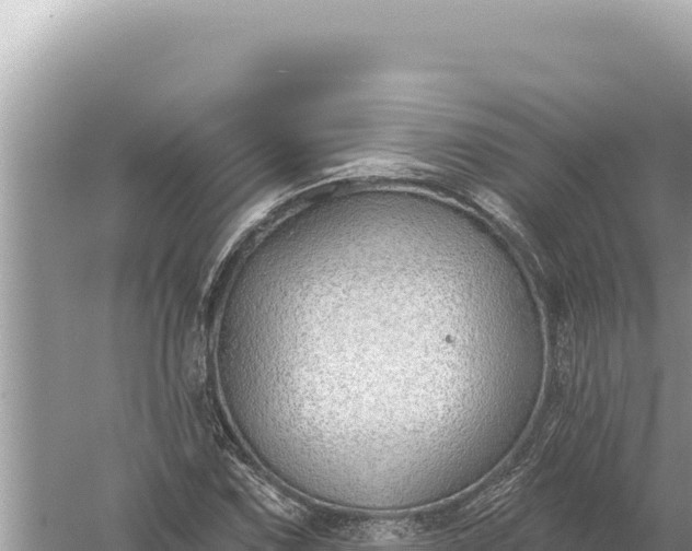 X0000059061067200510212020