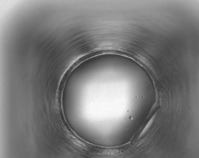 X0000059061068200510212020