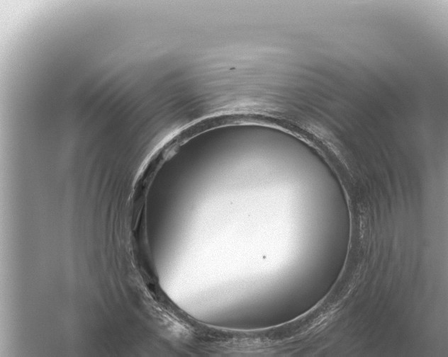 X0000059061069200510212020