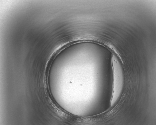 X0000059061072200510212020