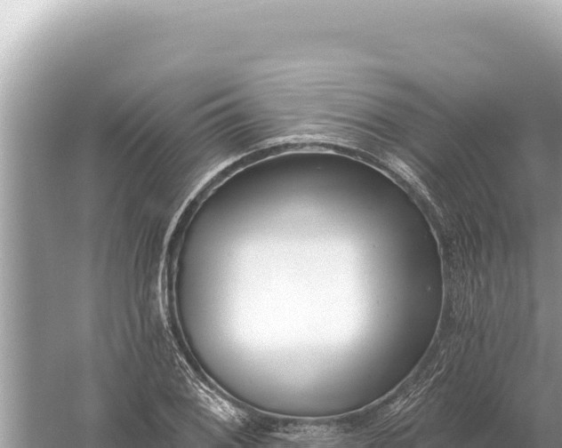 X0000059061076200510212020