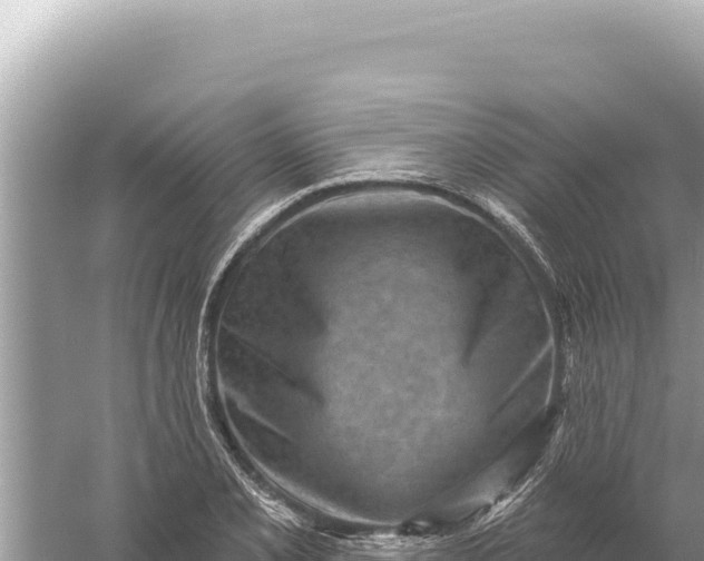 X0000059061077200510212020