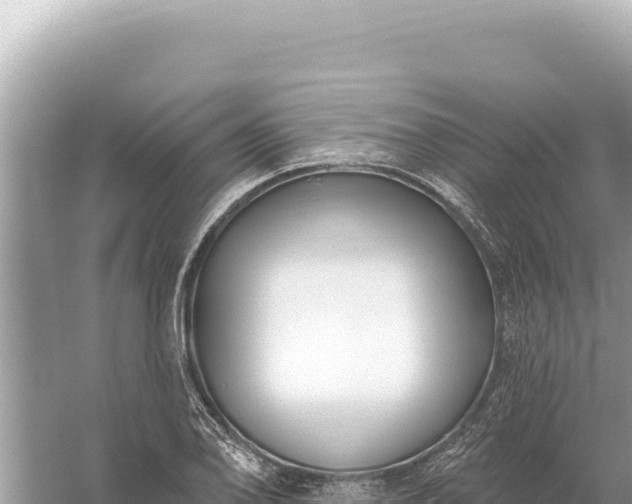 X0000059061078200510212020