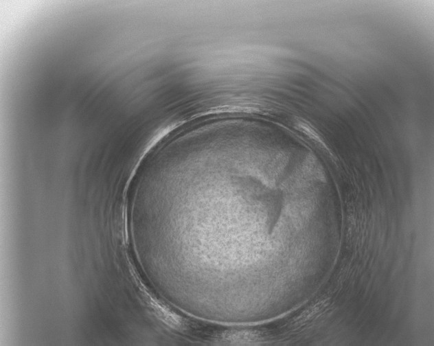 X0000059061079200510212020