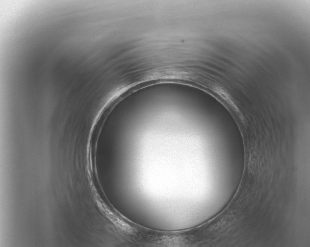 X0000059061080200510212020