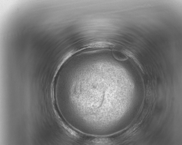 X0000059061083200510212020