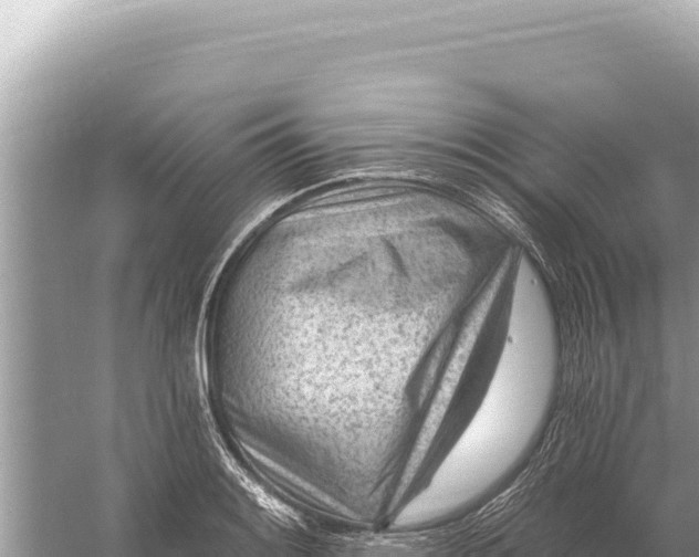 X0000059061084200510212020