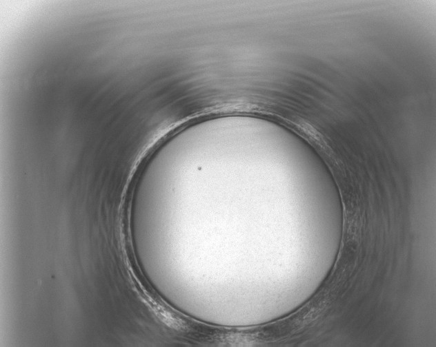 X0000059061086200510212020