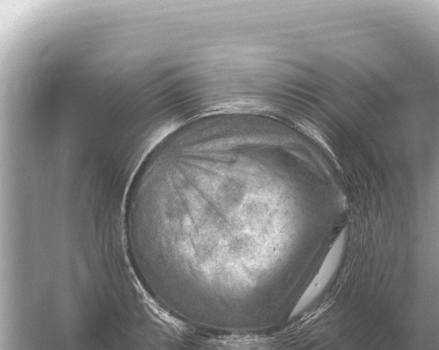 X0000059061087200510212020