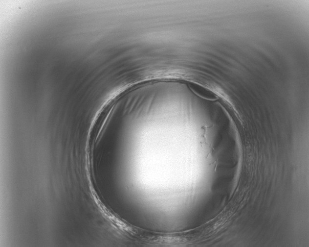 X0000059061088200510212020