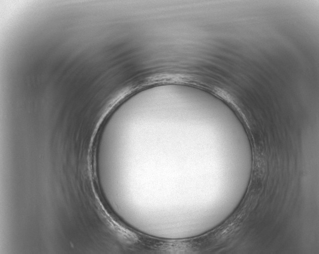 X0000059061090200510212020