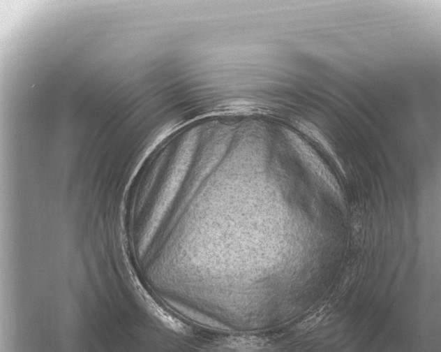 X0000059061091200510212020