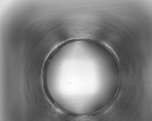 X0000059061093200510212020