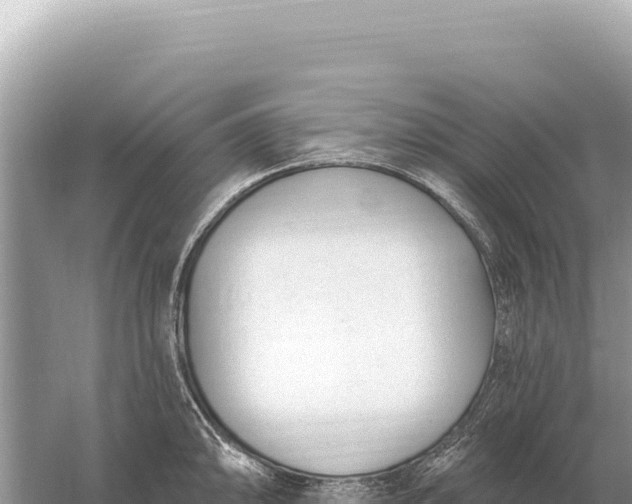 X0000059061094200510212020