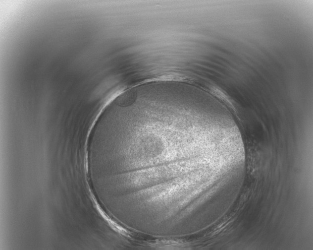 X0000059061095200510212020