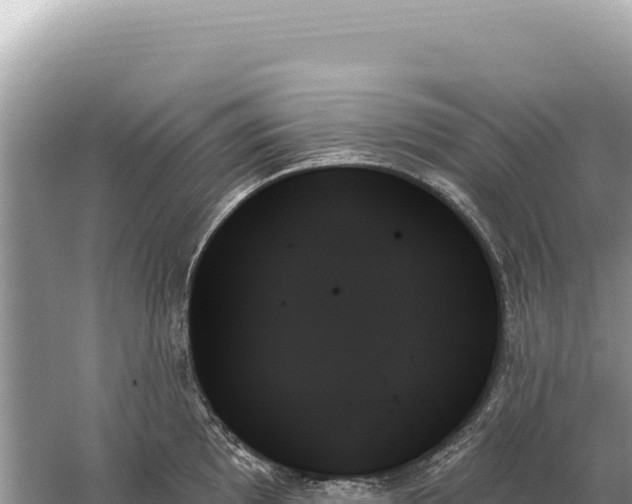 X0000059061097200510212020