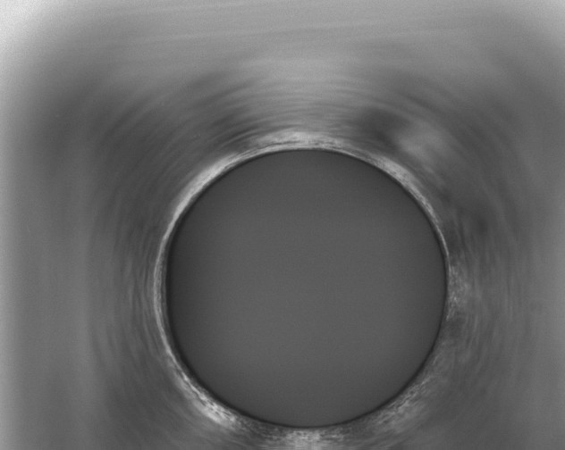 X0000059061098200510212020