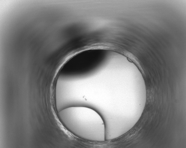 X0000059061099200510212020