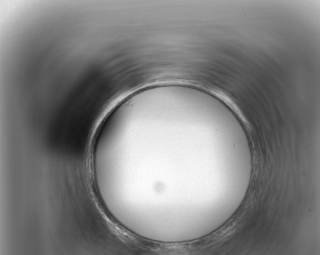 X0000059061101200510212020