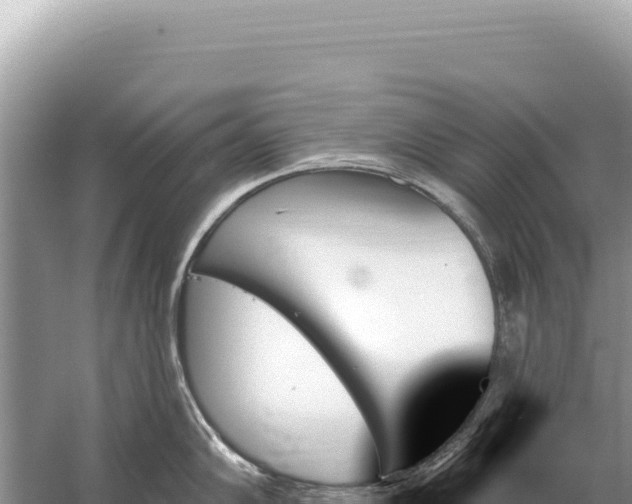 X0000059061102200510212020