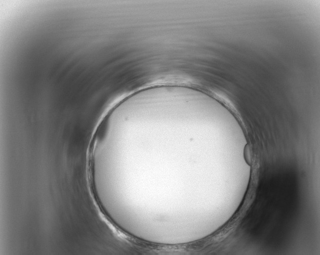 X0000059061103200510212020