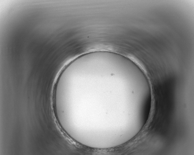 X0000059061104200510212020