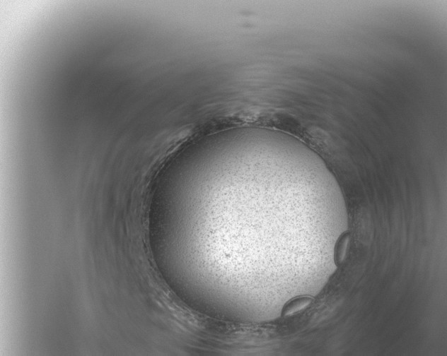 X0000059061105200510212019