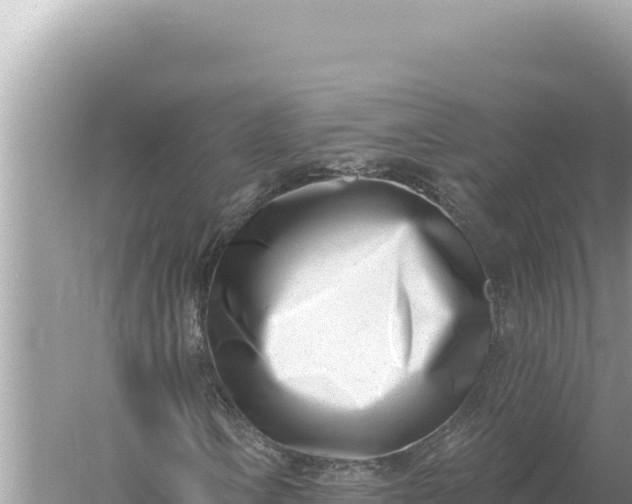 X0000059061106200510212019