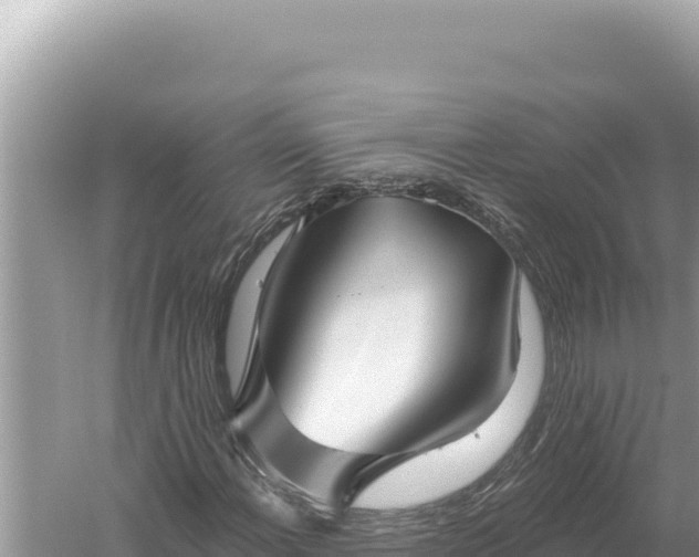 X0000059061108200510212019