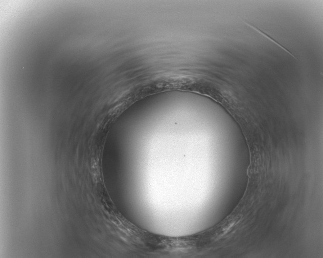 X0000059061109200510212019