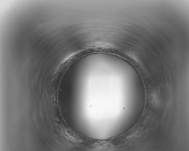 X0000059061112200510212019